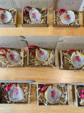 Load image into Gallery viewer, Robin Oyster Ornament