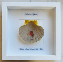Load image into Gallery viewer, Robin Scallop Frame - white frame
