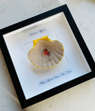 Load image into Gallery viewer, Robin Scallop Frame - (black frame)