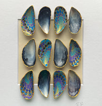 Load image into Gallery viewer, Diúilicín Mór - royal plume