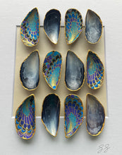 Load image into Gallery viewer, Diúilicín Mór - royal plume