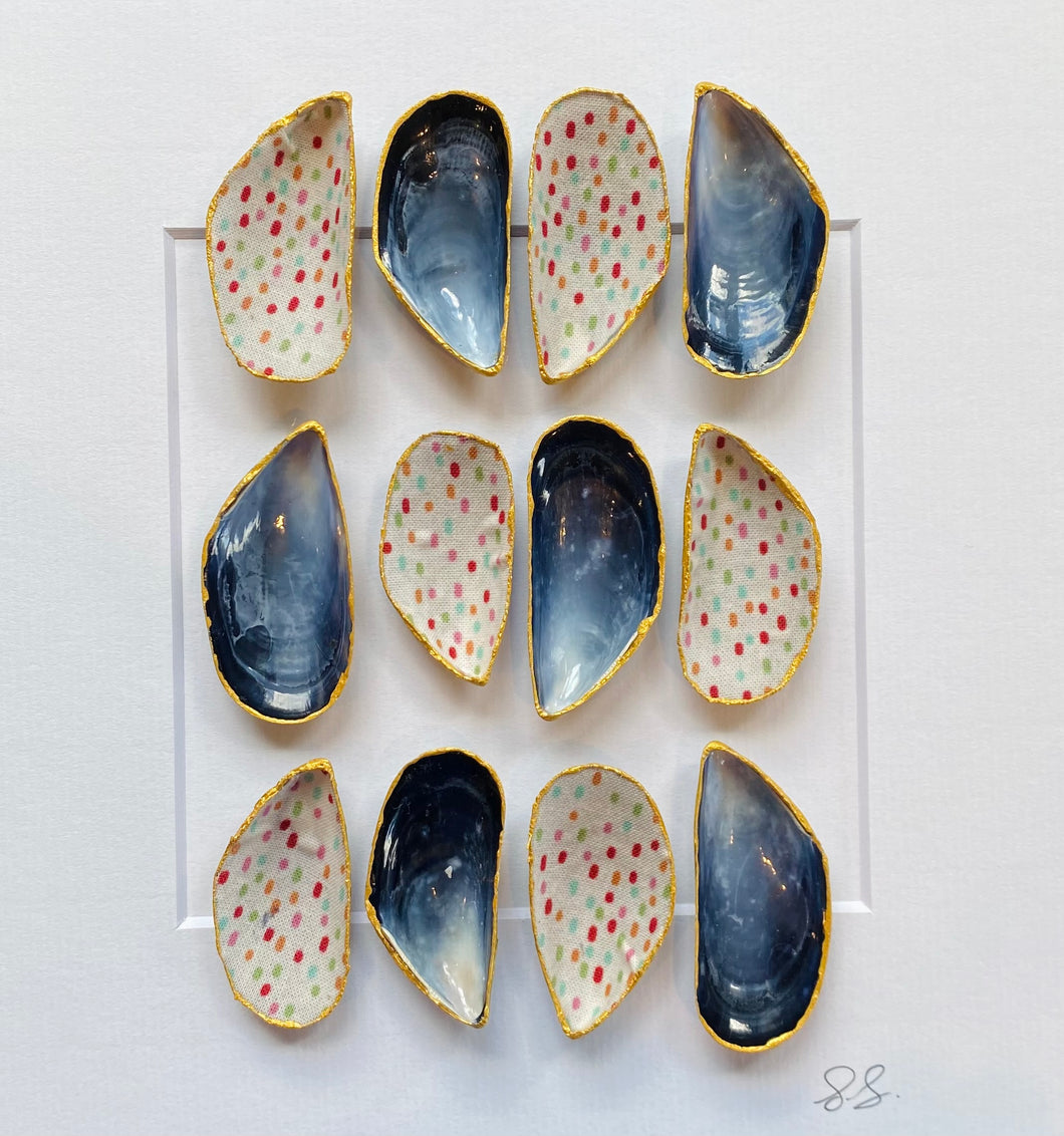 Framed mussel shells sprinkle