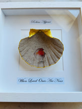 Load image into Gallery viewer, Robin Scallop Frame - white frame
