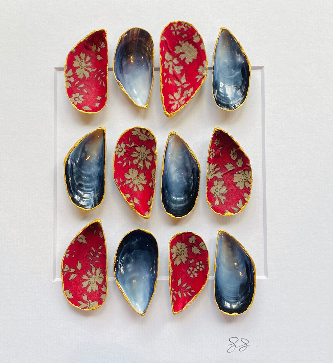Framed mussel shells red floral