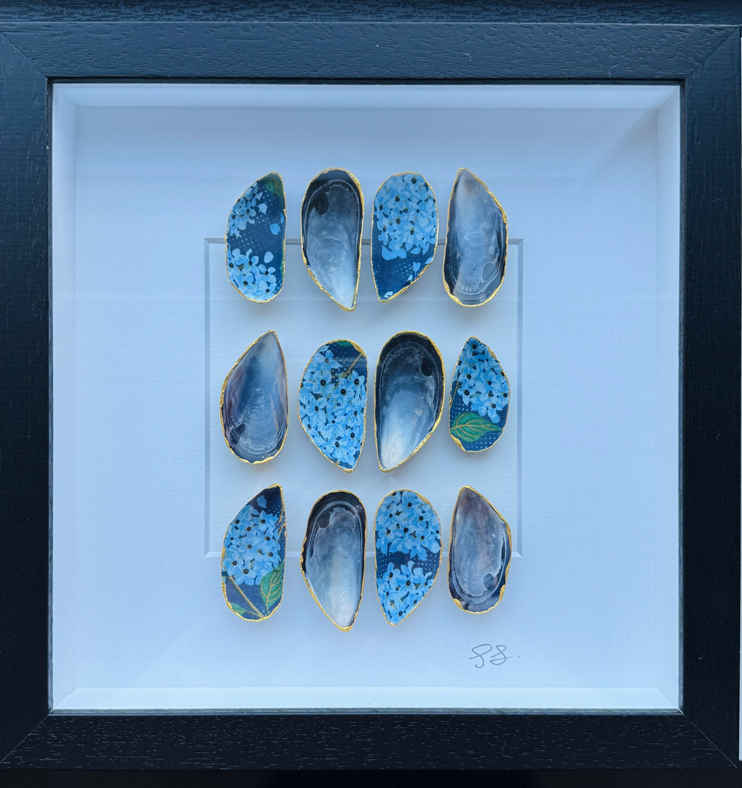 Mussel Shell Frame - blue hydrangeas (black frame)