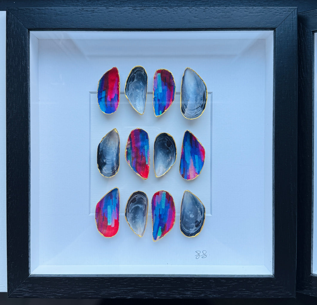 Mussel Shell Frame - Blaze (black frame)