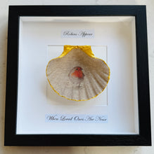 Load image into Gallery viewer, Robin Scallop Frame - (black frame)
