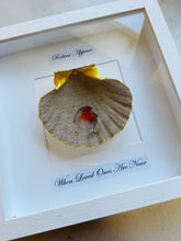 Load image into Gallery viewer, Robin Scallop Frame - white frame
