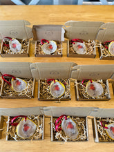 Load image into Gallery viewer, Robin Oyster Ornament
