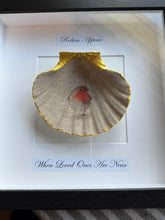 Load image into Gallery viewer, Robin Scallop Frame - (black frame)
