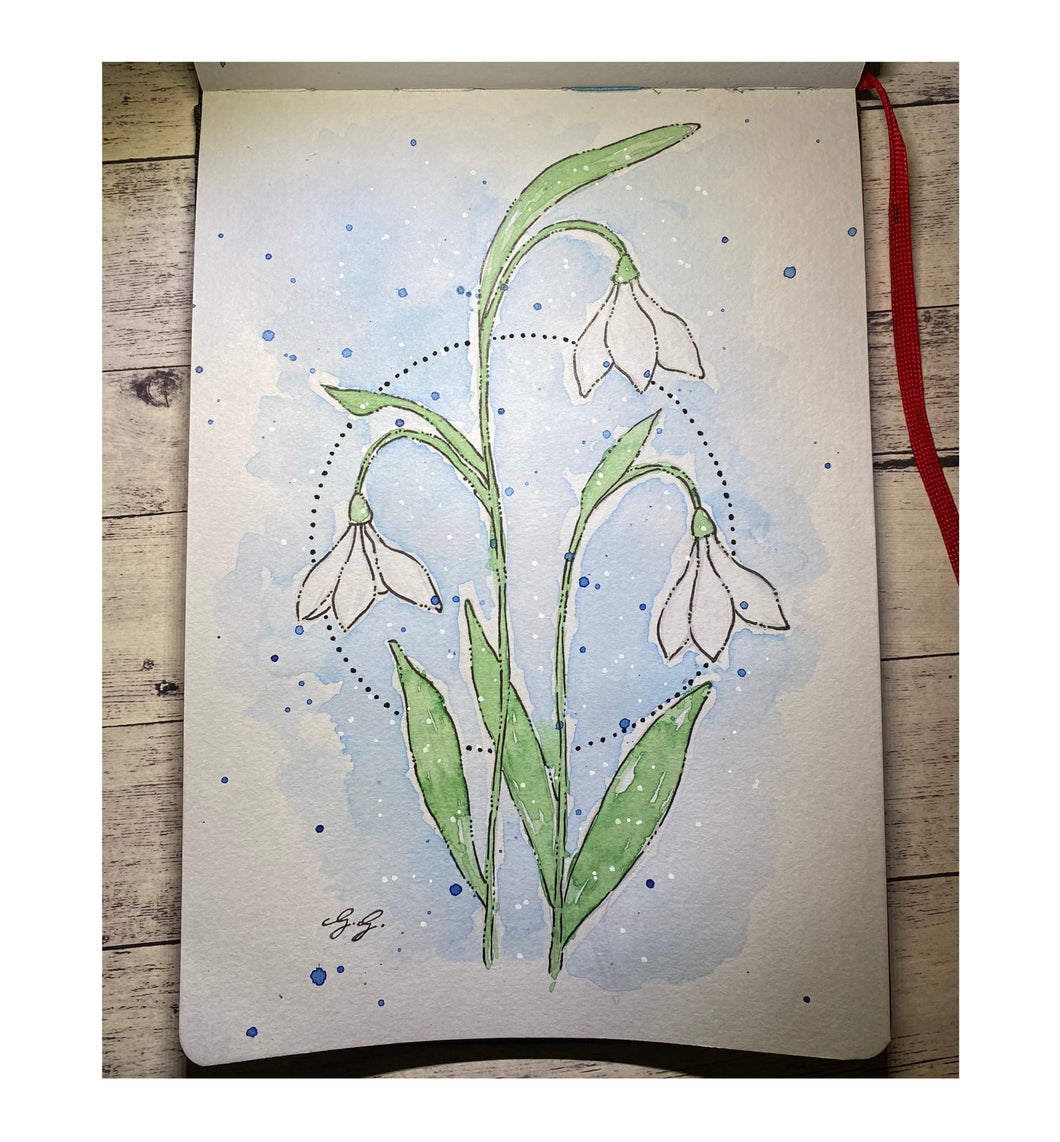 Snowdrops