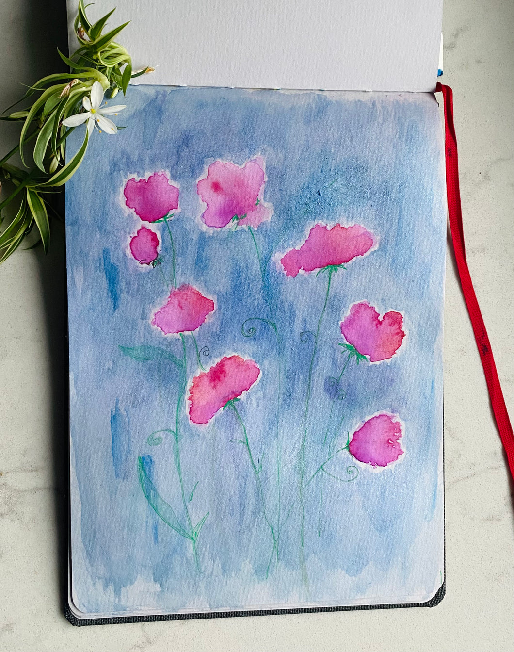 Sweet pea